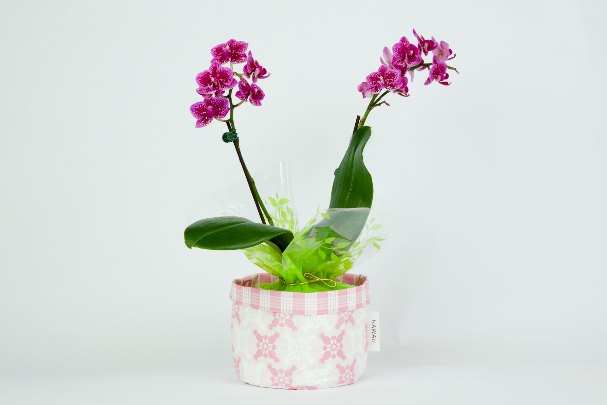 Planter/Soft Basket Hawaiian Quilt & Palaka Pink